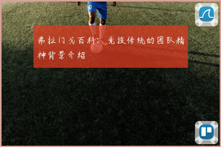 弗拉门戈百科:竞技传统的团队精神背景介绍