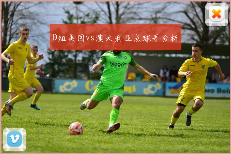 D组美国vs澳大利亚点球手分析