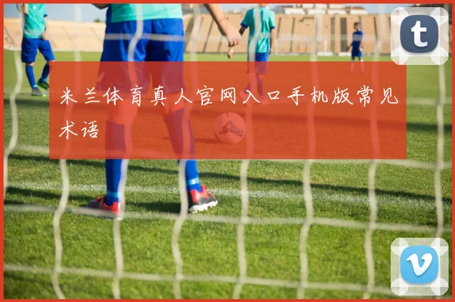 米兰体育真人官网入口手机版常见术语