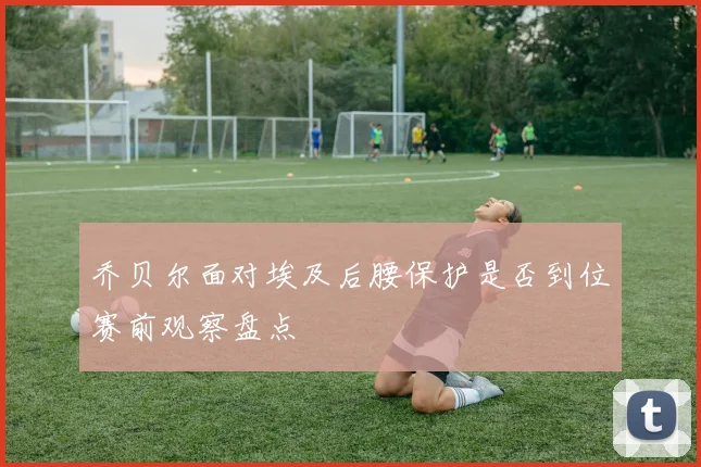 乔贝尔面对埃及后腰保护是否到位赛前观察盘点