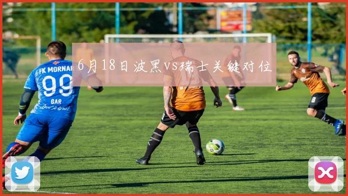 6月18日波黑vs瑞士关键对位