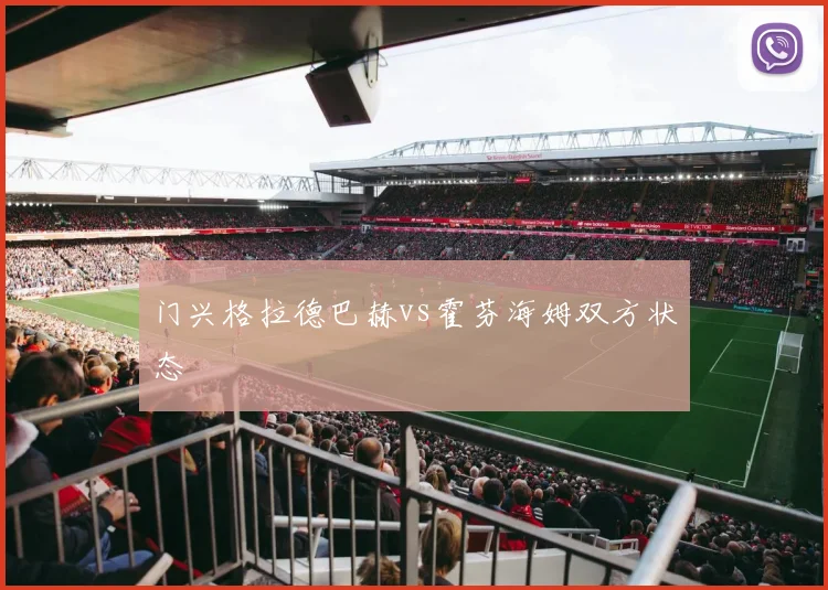 门兴格拉德巴赫vs霍芬海姆双方状态